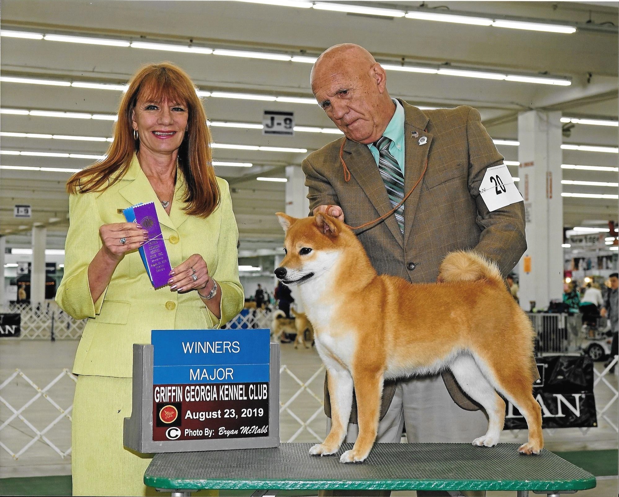Shiba Inu Puppies Shiba Inu Puppies